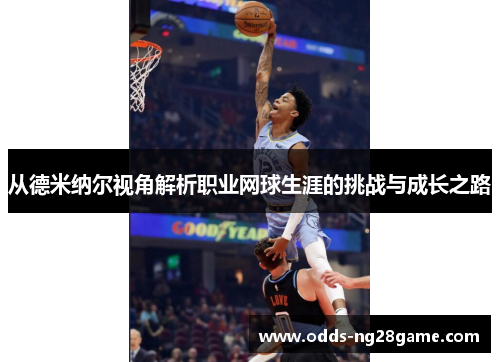 从德米纳尔视角解析职业网球生涯的挑战与成长之路