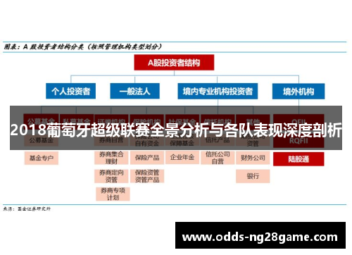 2018葡萄牙超级联赛全景分析与各队表现深度剖析