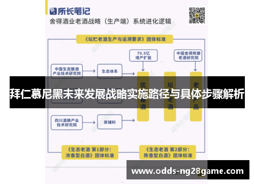 拜仁慕尼黑未来发展战略实施路径与具体步骤解析