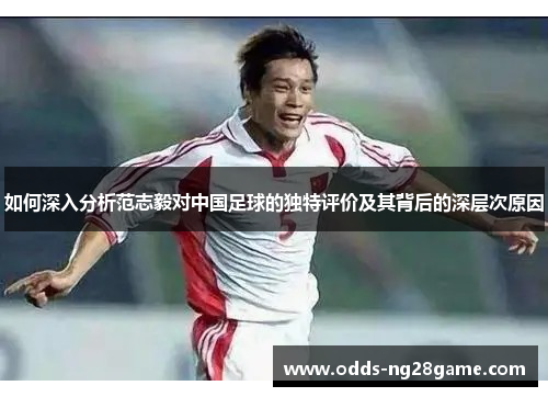 如何深入分析范志毅对中国足球的独特评价及其背后的深层次原因