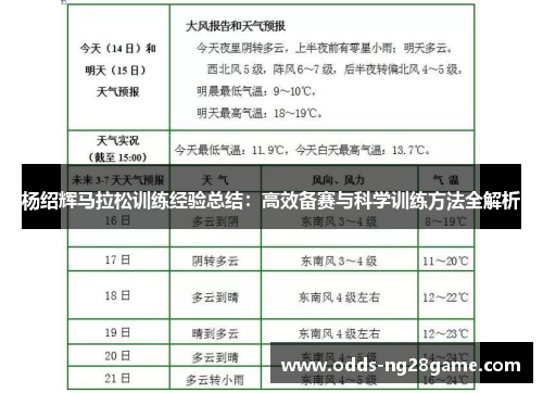 杨绍辉马拉松训练经验总结：高效备赛与科学训练方法全解析