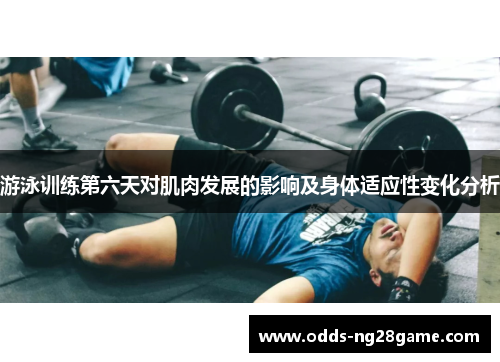 游泳训练第六天对肌肉发展的影响及身体适应性变化分析