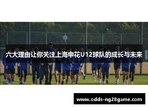 六大理由让你关注上海申花U12球队的成长与未来
