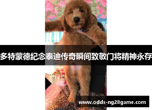 多特蒙德纪念泰迪传奇瞬间致敬门将精神永存