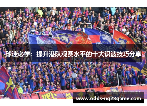 球迷必学：提升港队观赛水平的十大识波技巧分享