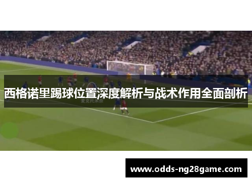 西格诺里踢球位置深度解析与战术作用全面剖析