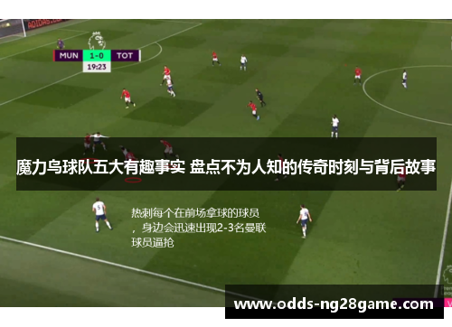魔力鸟球队五大有趣事实 盘点不为人知的传奇时刻与背后故事